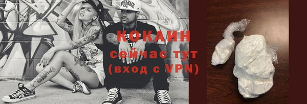 apvp Пестово