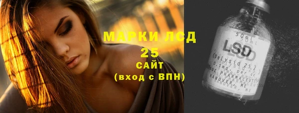 apvp Пестово