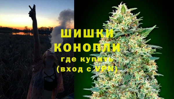 apvp Пестово