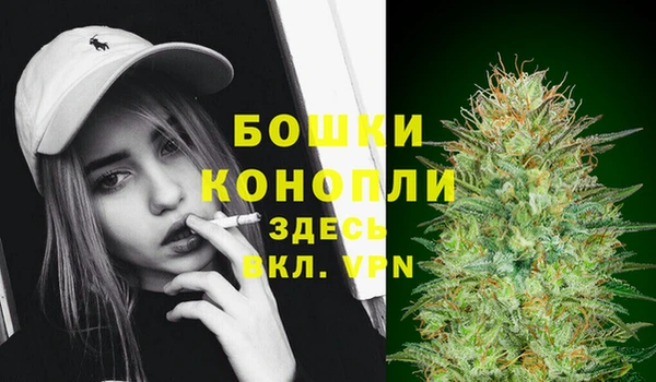 mix Пересвет
