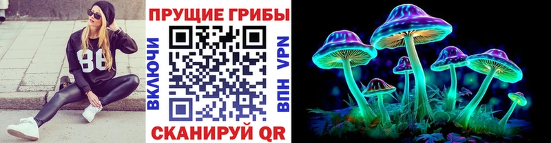 Псилоцибиновые грибы ЛСД  Пойковский 