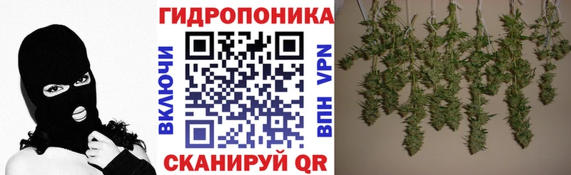 Бошки Шишки марихуана  Пойковский 